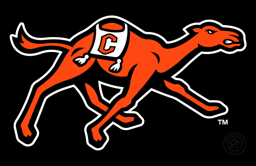 Campbell Fighting Camels 2023-Pres Primary Dark Logo diy DTF decal sticker